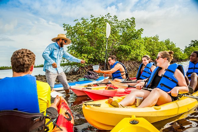 Guided Kayak Mangrove Ecotour in Rookery Bay Reserve, Naples - Customer Experiences and Overall Satisfaction