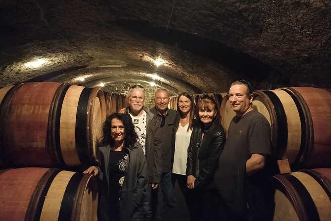 Guided Tour and Wine Tasting Northern Rhône Valley - Learning Experience