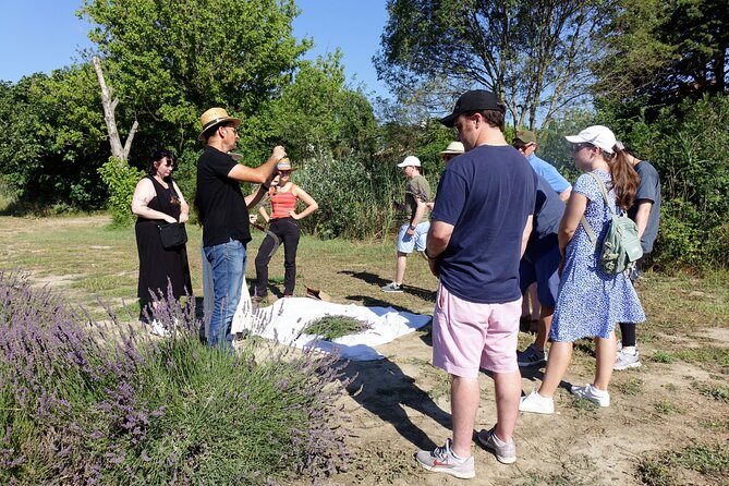 Guided Tour of Lavender Distillery Between Provence & Camargue - What to Expect During the Tour