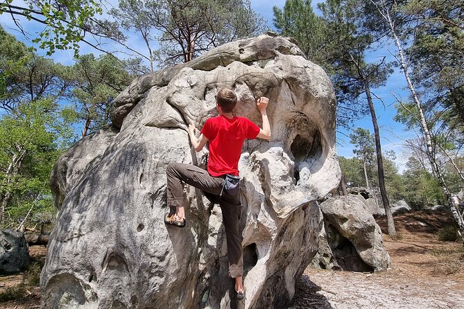 Half-Day Bouldering in Fontainebleau - Detailed Logistics and Meeting Point