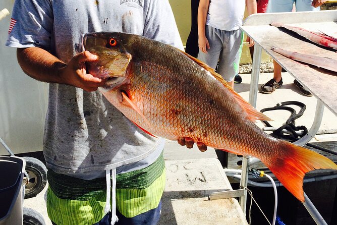 Half-Day Fishing Trip in Fort Lauderdale - Customer Reviews and Experiences