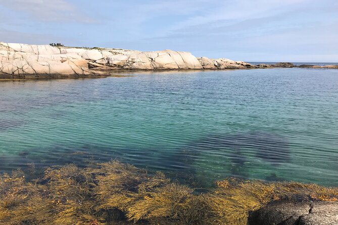 Half-Day Group Tour of Peggys Cove and the Coast  - Halifax - Reviews and Customer Feedback