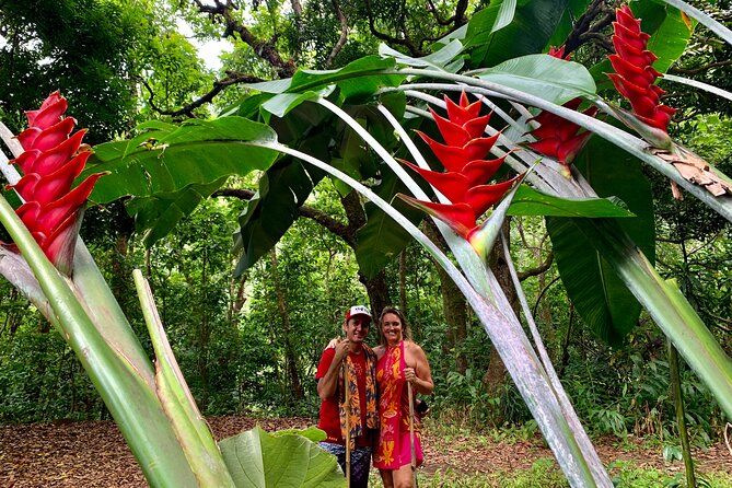 Half-Day Guided Hike to Afareaitu Waterfall - Tour Experience and Recommendations