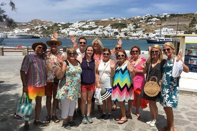 Half-Day Highlights of Mykonos Tour - Traveler Reviews and Feedback