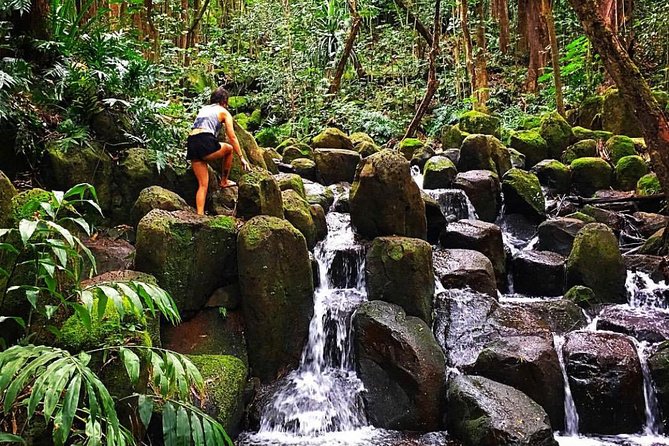 Half-Day Kayak and Waterfall Hike Tour in Kauai With Lunch - Pricing and Booking