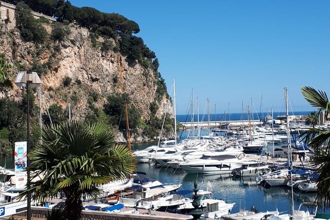 Half-Day Private Guided Tour of the French Riviera - Guide Expertise