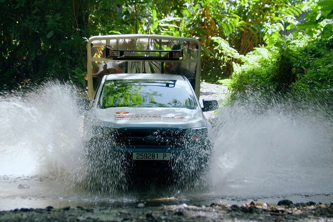 Half-Day Private Highlights Tour by 4x4, Moorea - Tour Provider Experience