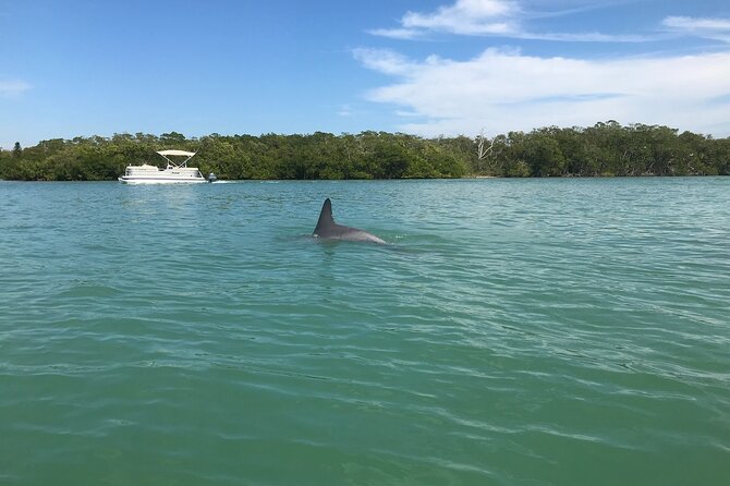 Half-Day Private Sarasota Charter Tour With Wildlife Watching - Legal and Copyright Information