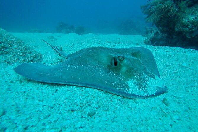 Half Day Scuba Diving Trip in the Florida Keys - Inclusions and Equipment