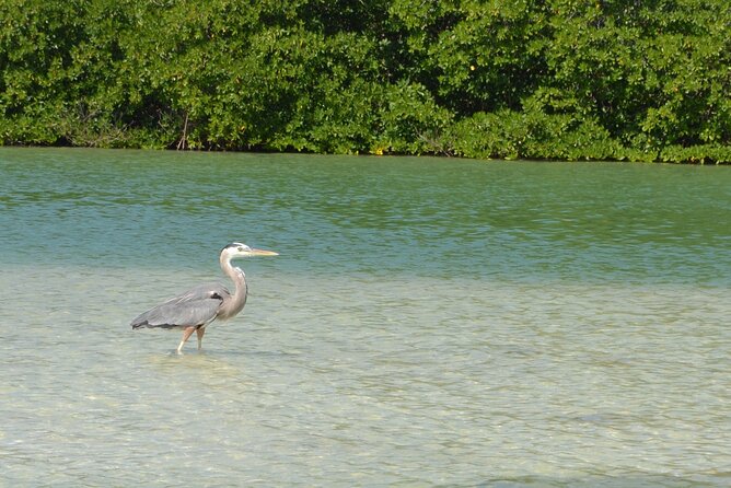 Half-Day Tour Discovering Sian Kaan With Lunch - Visitor Experiences