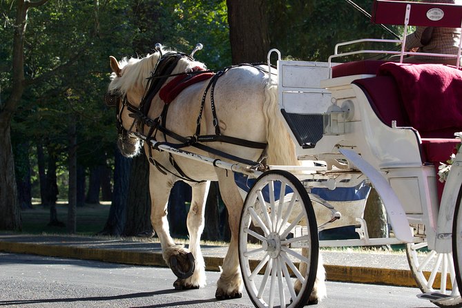 Heritage Horse-Drawn Carriage Tour of Victoria - Final Words