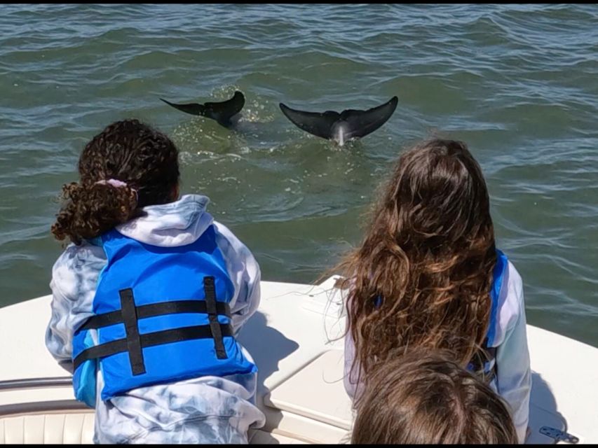 Hilton Head Island: Dolphin and Nature Tour - Customer Reviews