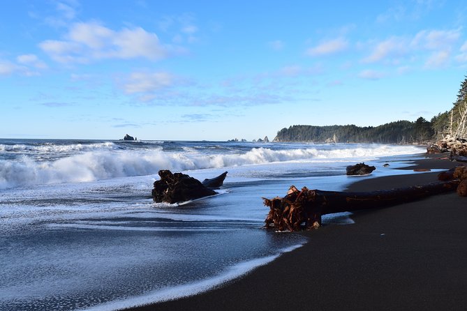 Hoh Rain Forest and Rialto Beach Guided Tour in Olympic National Park - Common questions