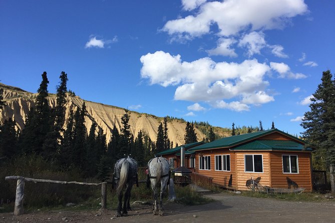 Horse-Drawn Covered Wagon Ride With Backcountry Dining - Inclusions and Amenities