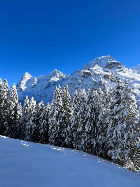 Interlaken: Snowshoe and Fondue Adventure in the Swiss Alps - Fitness Requirements