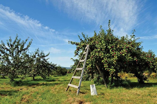 Island of Orleans Taste and Drink Tour - Additional Information