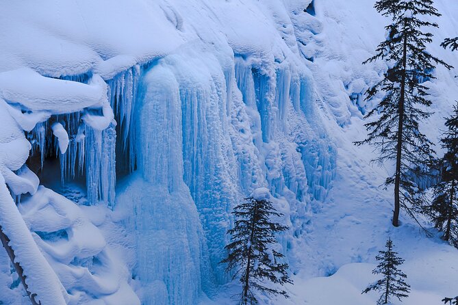Johnston Canyon Frozen Waterfalls & Banff Backroads Wildlife Tour - Safety Guidelines