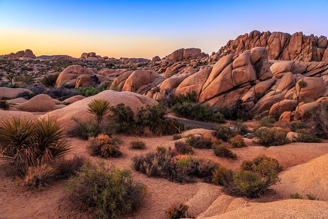 Joshua Tree National Park Self-Driving Audio Tour - User Experience and Reviews