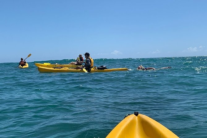 Kailua 2-Hour Guided Kayaking Excursion, Oahu - Viator Details