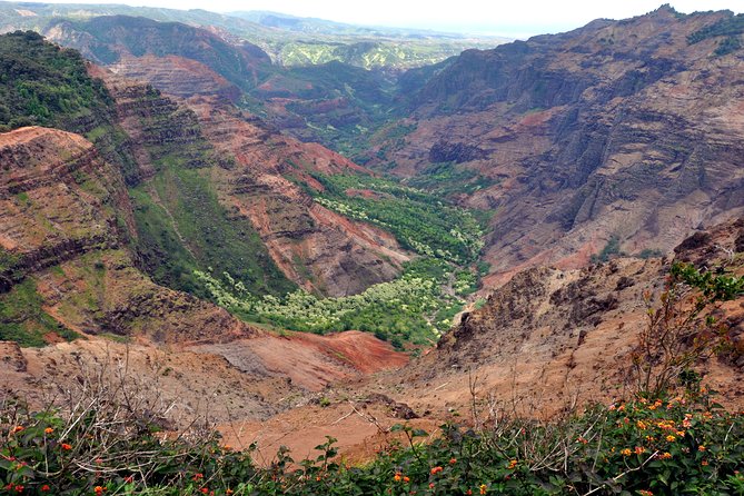 Kauai Waimea Canyon and Forest Tour With Lunch - Scenic Highlights and Views