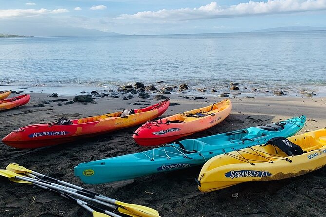 Kayak and Snorkel: Maui West Shore - Professional Guide and Logistics