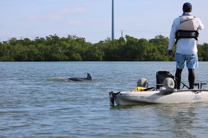 Kayak Tour Adventure Marco Island and Naples Florida - Memorable Educational Tours