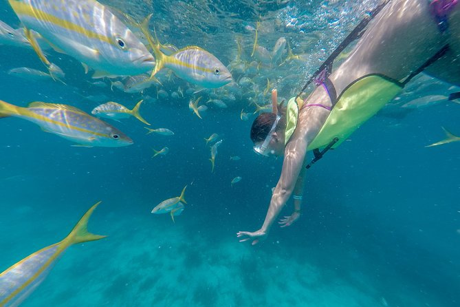 Key West Schooner Backcountry Eco-Tour: Sail, Snorkel & Kayak - Crew and Service Feedback