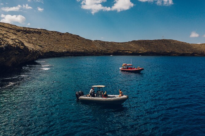 Kihei Small-Group Molokini Snorkel Tour  - Maui - Company Background