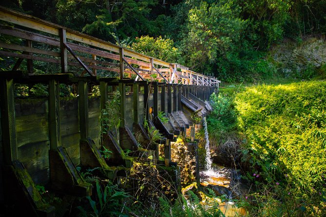 Kohala Waterfalls Small Group Adventure Tour - Common questions