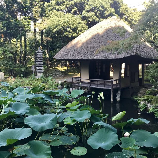 Kyoto: Tea Ceremony in a Japanese Painter's Garden - Logistical Information