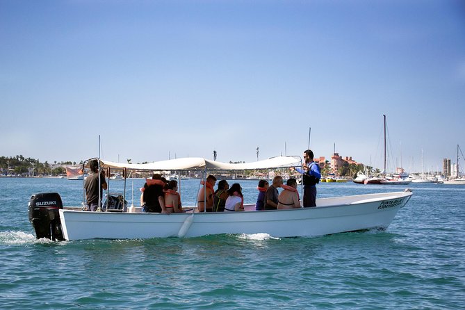 La Paz Whale Shark Snorkeling Tour and Lunch From Los Cabos - Weather Considerations