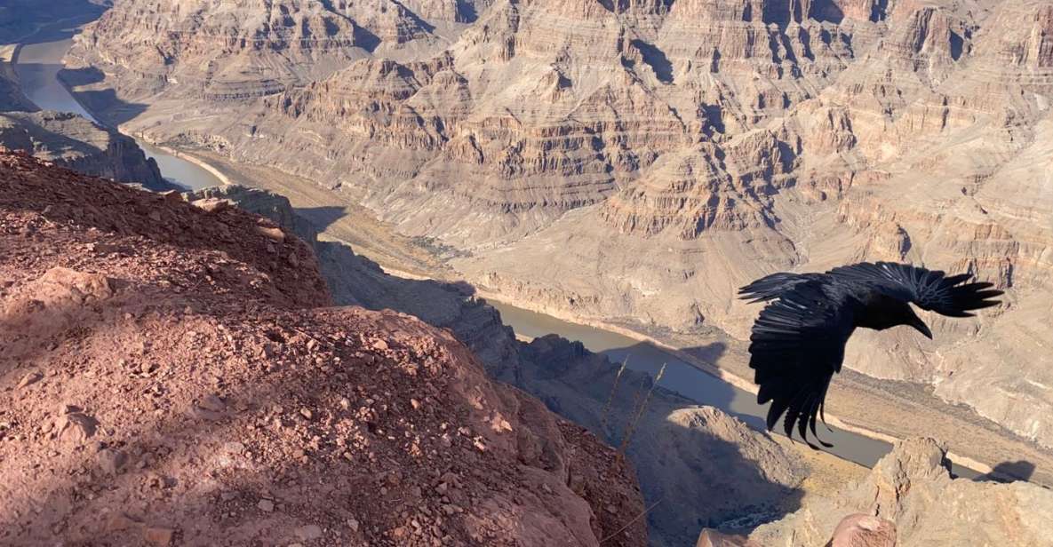 Las Vegas: Grand Canyon West Small-Group Guided Tour - Rating & Reviews