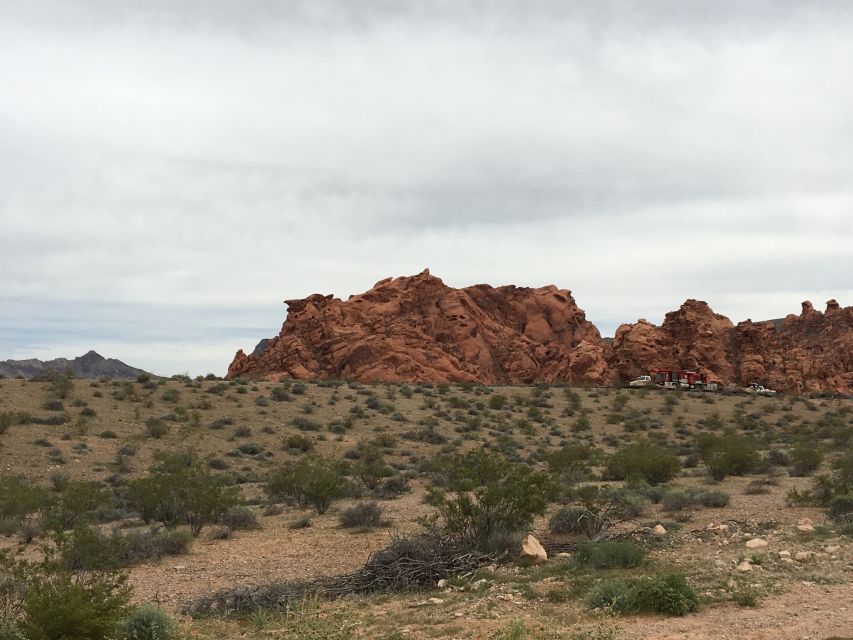 Las Vegas: Valley of Fire and Zion National Park 1-Day Tour - Participant Information