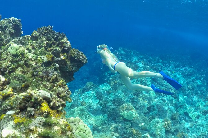 Luxury Kona Coast Snorkel Tour Including Lunch - Cancellation Policy