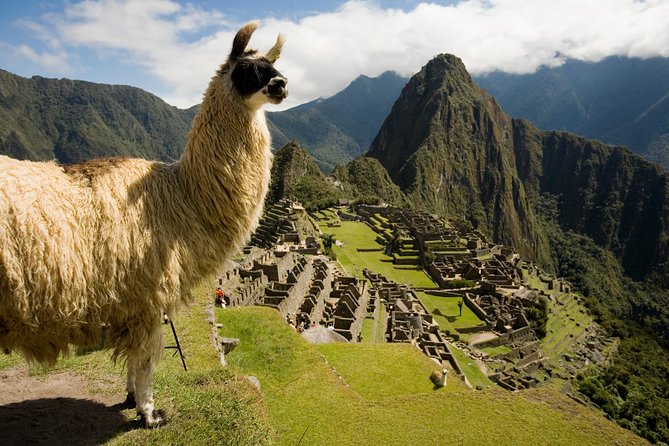 Machu Picchu Private Guided Tour From Aguas Calientes - Recommendations