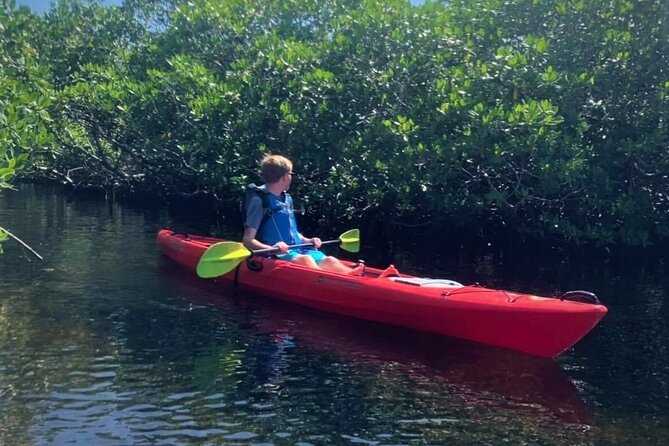 Mangrove Tunnel Kayak Adventure in Key Largo - Tour Highlights and Features