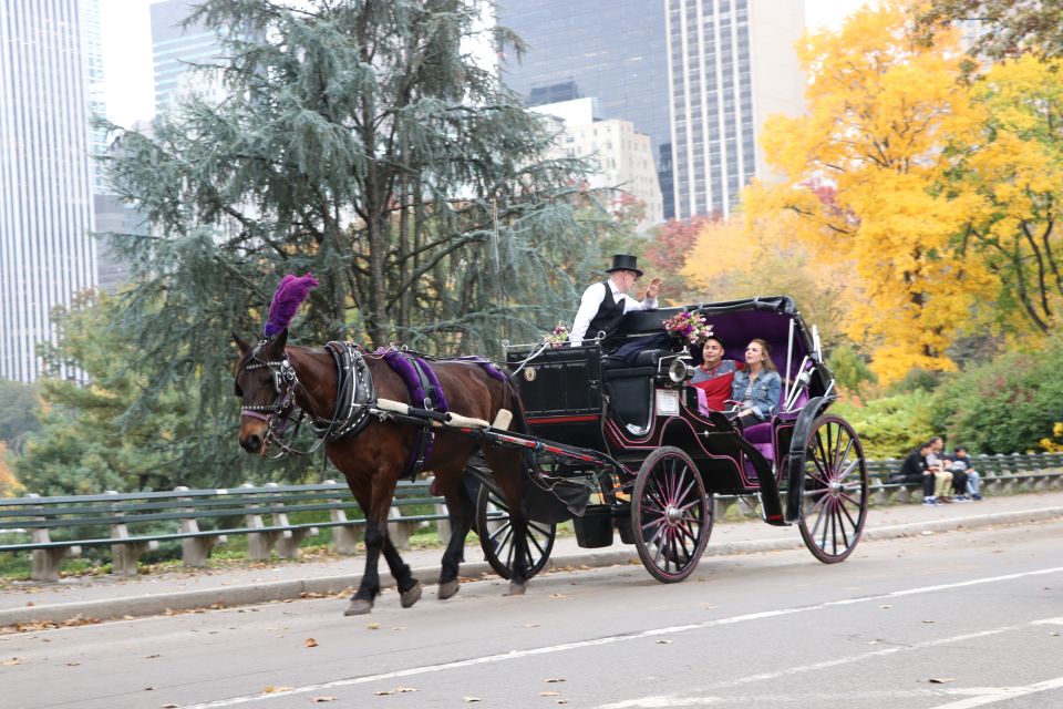 Manhattan: VIP Private Horse Carriage Ride in Central Park - Customer Reviews