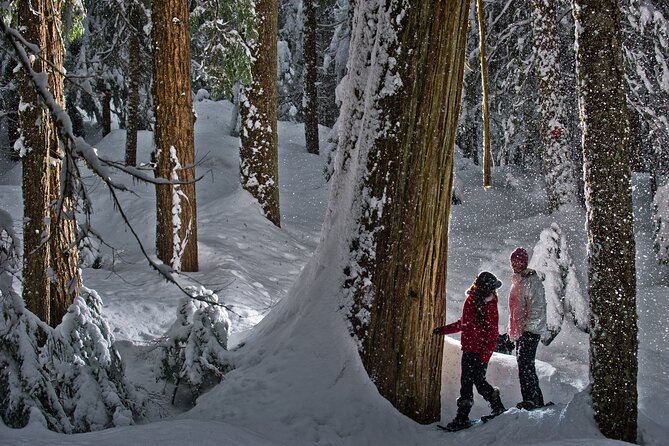 Medicine Trail Snowshoe Tour - Directions