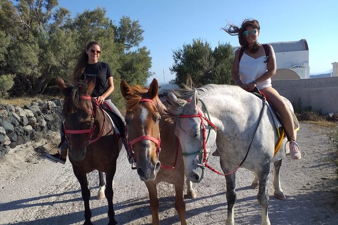 Megalochori Horseback Excursion  - Santorini - Customer Feedback