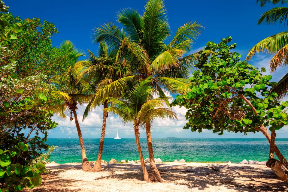 Miami: Key West Tour With Snorkeling & Kayaking - Booking Information