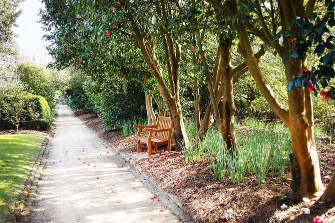 Middleton Place Admission With Self Guided Tour and Lunch - Final Words