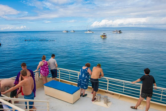 Molokini and Turtle Arches Snorkeling Trip From Maalaea Harbor - Cancellation Policy Details