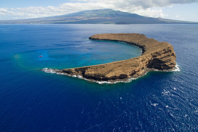 Molokini Snorkel, Green Sea Turtle Small-Group Tour From Maui - Cancellation Policy Details