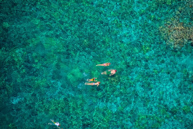 Morning Kealakekua Snorkel Tour - Important Additional Information