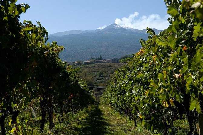 Mt Etna and Wine Tasting Tour From Catania - Practical Information for Participants