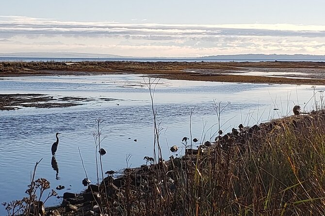 Mud Bay Park Bicycle Rental - Additional Information and Contacts