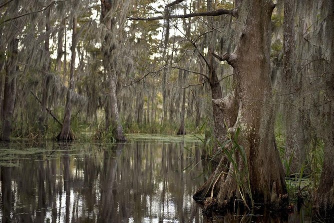 New Orleans Large Airboat Swamp Tour - Mobile Ticket Convenience