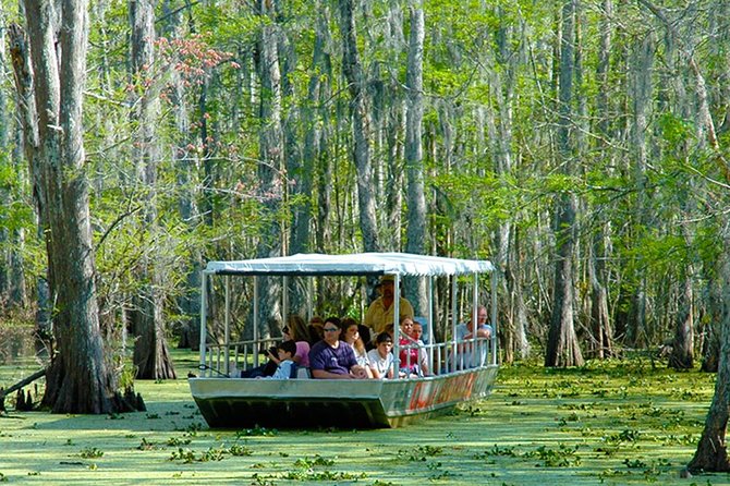 New Orleans Swamp and Bayou Boat Tour With Transportation - Transportation and Meeting Point