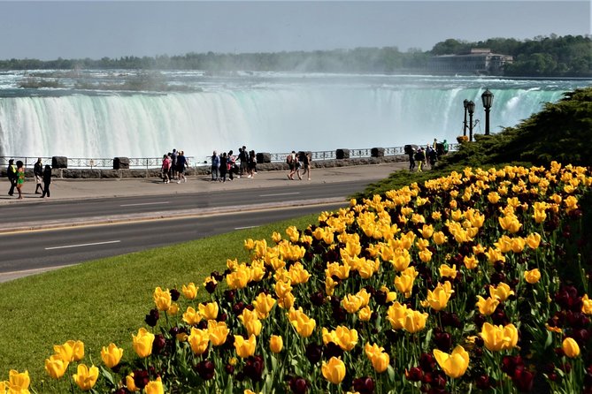 Niagara Falls Day Tour From Toronto - Cancellation Policy