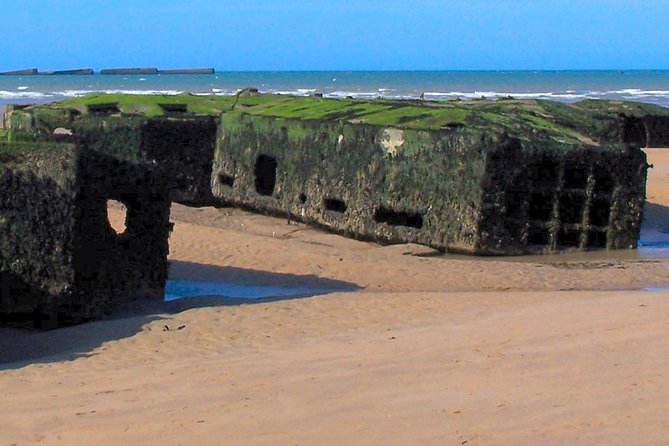 Normandy D-Day Landing Beaches Guided Tour From Paris by Minivan - Tour Guide and Transportation